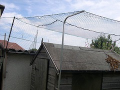 A cat fenced shed that does not look very good